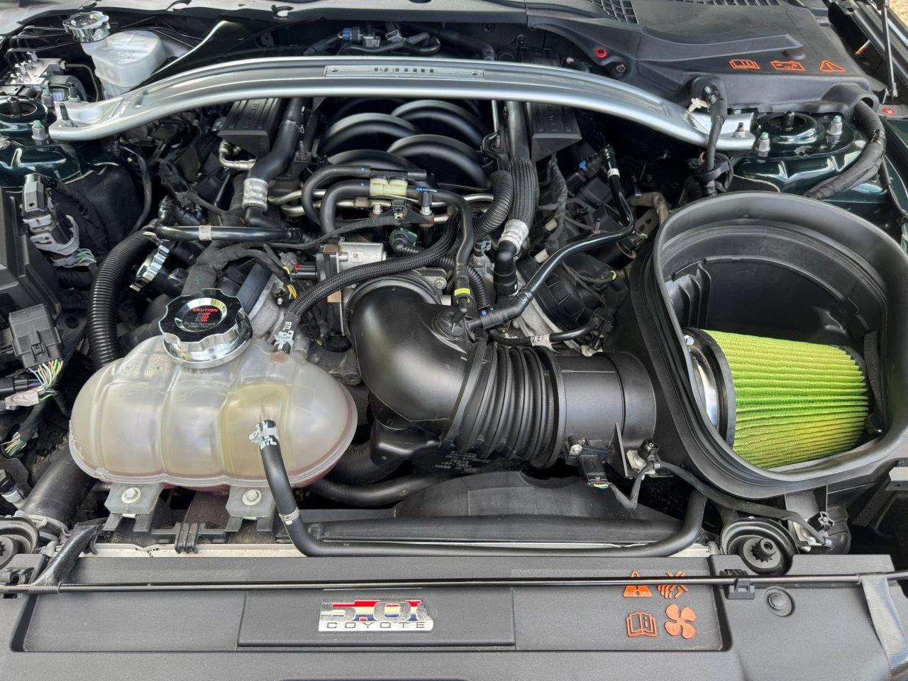 stock-image